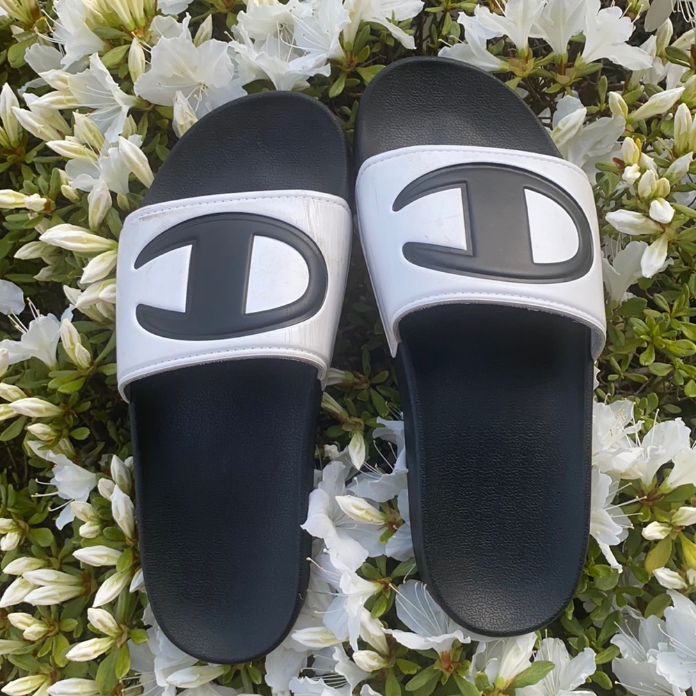 Champion Slides